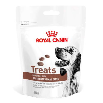 Royal Canin Veterinary Diets Dog Gastrointestinal Godbiter til hund 230 g