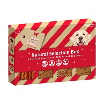 Rosewood Xmas Natural Treat Box Julgodis till Hund, 175 g