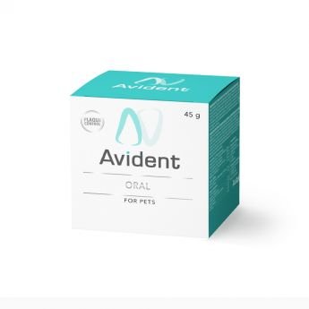 Avital Avident Oral Pulver