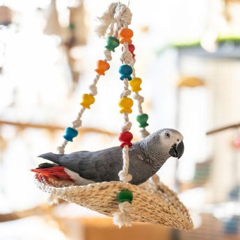 Quapas! Hengek&oslash;ye i sj&oslash;gress for fugl og gnagere 34x29 cm