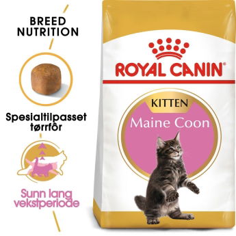 Royal Canin Breed Maine Coon Kitten tørrfôr til kattunge