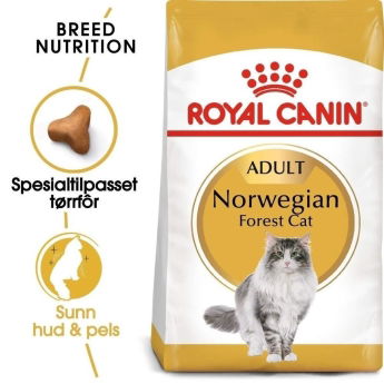 Royal Canin Breed Norwegian Forest Adult tørrfôr til katt