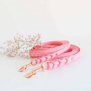 Tyylivoitto Braid Kobbel, Rosa