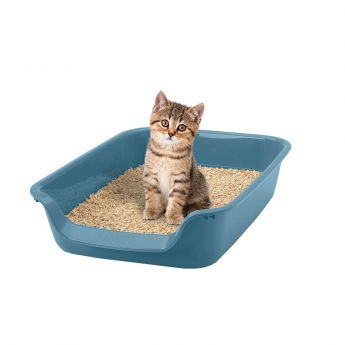 Savic Junior Kattetoalett Bl&aring;