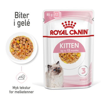 Royal Canin Kitten Jelly våtfôr til kattunge