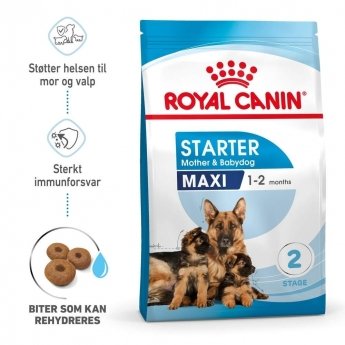 Royal Canin Maxi Starter tørrfôr til hund og hundevalp