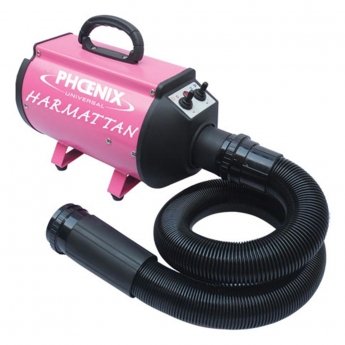 Phoenix Blower Harmattan Tohastighetsføner