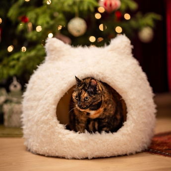 Little&Bigger Cool Xmas Katteigloo Hvit