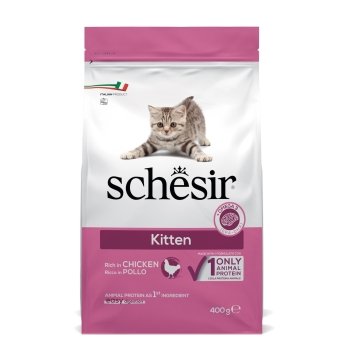 Schesir Kitten