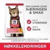 Hills Science Plan Cat Adult Light Chicken