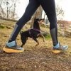 Non-Stop Dogwear Line Hundesele 5.0 Lila