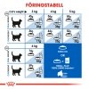 Royal Canin Indoor Adult tørrfôr til katt