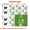 Royal Canin Outdoor Adult tørrfôr til katt