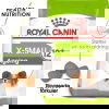 Royal Canin X-small Ageing 12+ tørrfôr til hund