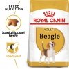 Royal Canin Beagle Adult tørrfôr til hund