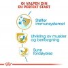 Royal Canin Rottweiler Puppy tørrfôr til hundvalp