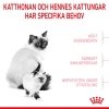 Royal Canin Mother & Babycat tørrfôr til katt og kattunge