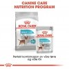 Royal Canin Urinary Care Adult Loaf våtfôr til hund 12x85 g