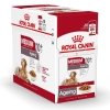 Royal Canin Medium Ageing Gravy våtfôr til hund 10x140 g