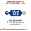 Royal Canin Maxi Adult tørrfôr til hund