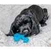 Nylabone Puppy Teething X Okse, XS
