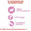 Royal Canin Kitten Gravy våtfôr til kattunge 12x85g