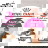 Royal Canin Savour Exigent Adult tørrfôr til katt