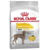 Royal Canin Dermacomfort Maxi Adult tørrfôr til hund