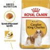 Royal Canin Cavalier King Charles Adult tørrfôr til hund