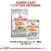 Royal Canin Coat Care Mini Adult tørrfôr til hund