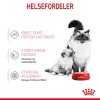 Royal Canin Mother & Babycat Mousse