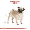 Royal Canin Pug Adult tørrfôr til hund