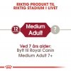 Royal Canin Medium Adult tørrfôr til hund