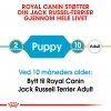 Royal Canin Jack Russell Terrier Puppy tørrfôr til hundvalp