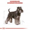 Royal Canin Miniature Schnauzer Adult tørrfôr til hund