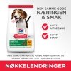 Hills Science Plan Puppy Medium Chicken tørrfôr