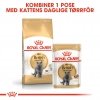 Royal Canin British Shorthair Adult Gravy våtfôr til katt 12x85 g
