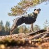 Non-Stop Dogwear Glacier Wool 2.0 Vinterdekken