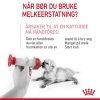 Royal Canin Babycat Milk melk til kattunge