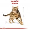 Royal Canin Breed Bengal Adult tørrfôr til katt