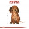 Royal Canin Dachshund Puppy tørrfôr til valp 1,5kg