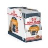 Royal Canin Hair & Skin Care Gravy Adult våtfôr til katt 12x85g