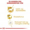 Royal Canin Dachshund Adult tørrfôr til hund