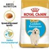 Royal Canin Golden Retriever Puppy tørrfôr til hundvalp