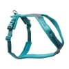 Non Stop Dogwear Line Hundesele 5.0, turkis