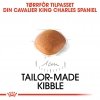Royal Canin Cavalier King Charles Puppy tørrfôr til hundvalp