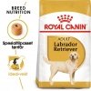Royal Canin Labrador Retriever Adult tørrfôr til hund