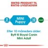 Royal Canin Mini Puppy tørrfôr til valp
