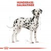 Royal Canin Dalmatian Adult tørrfôr til hund