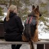 Feel Active Trekbag Hundesele Ryggsekk, Svart